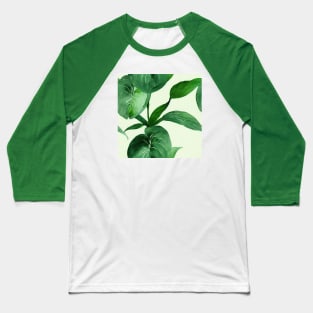 Pothos leaves pattern Baseball T-Shirt